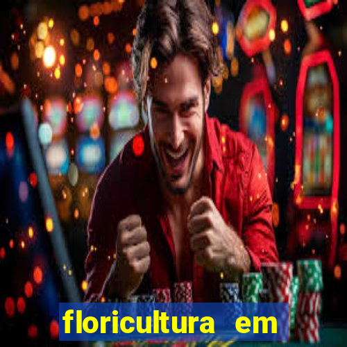 floricultura em lauro de freitas